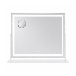 LED Makeup Mirror with Adjustable Brightness & Magnifying Mirror