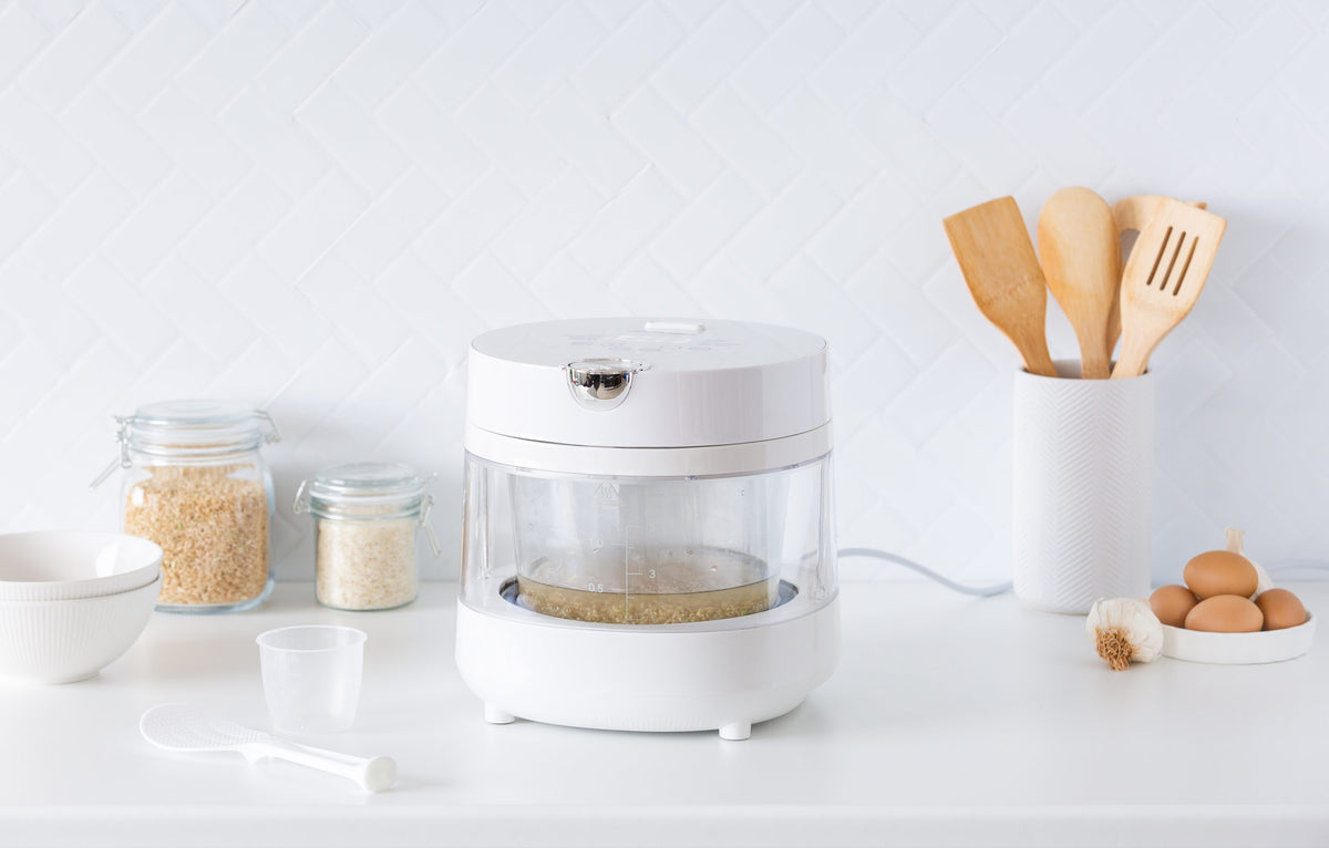 PFAS-Free 5-Cup Glass Rice Cooker with Low Sugar Basket