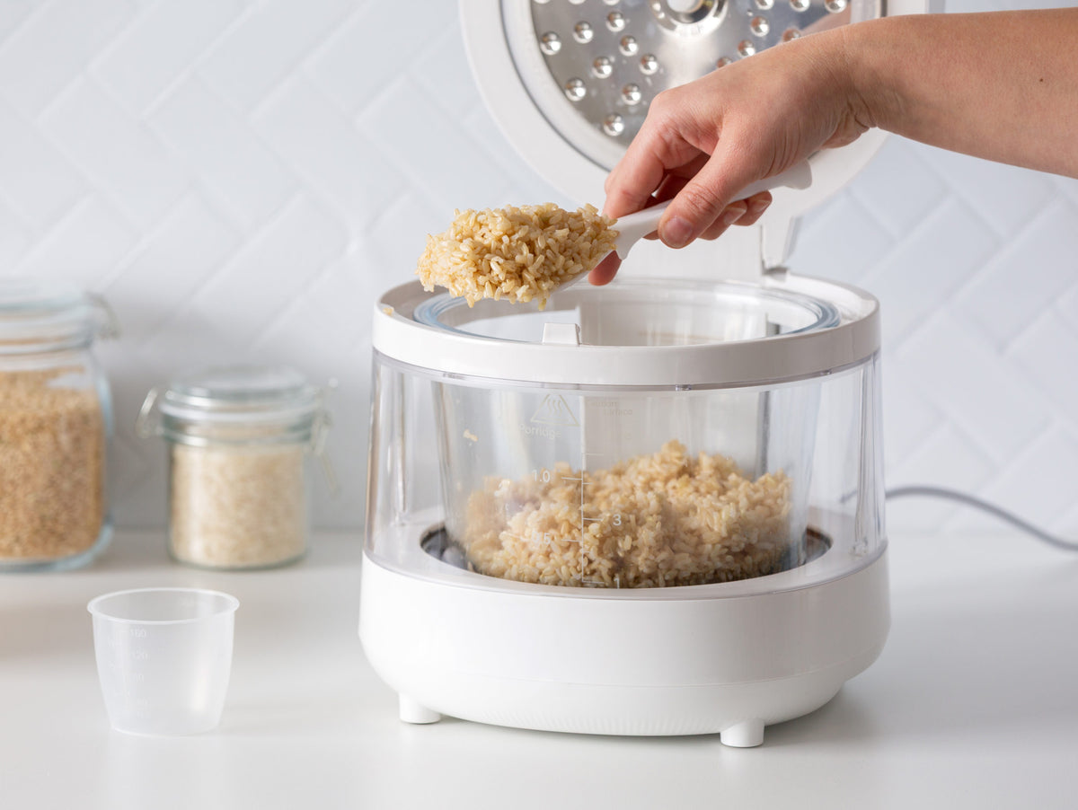 PFAS-Free 5-Cup Glass Rice Cooker with Low Sugar Basket