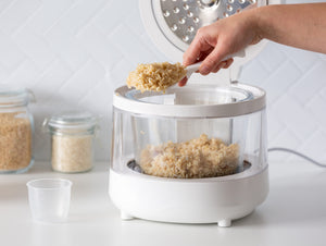 PFAS-Free 5-Cup Glass Rice Cooker with Low Sugar Basket