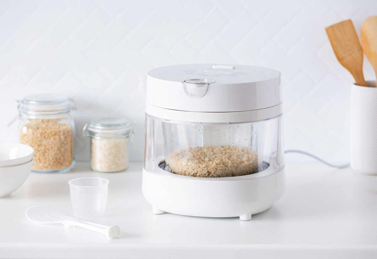 PFAS-Free 5-Cup Glass Rice Cooker with Low Sugar Basket