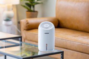 Thermo-Electric Peltier Dehumidifier on a table in a bright living room.