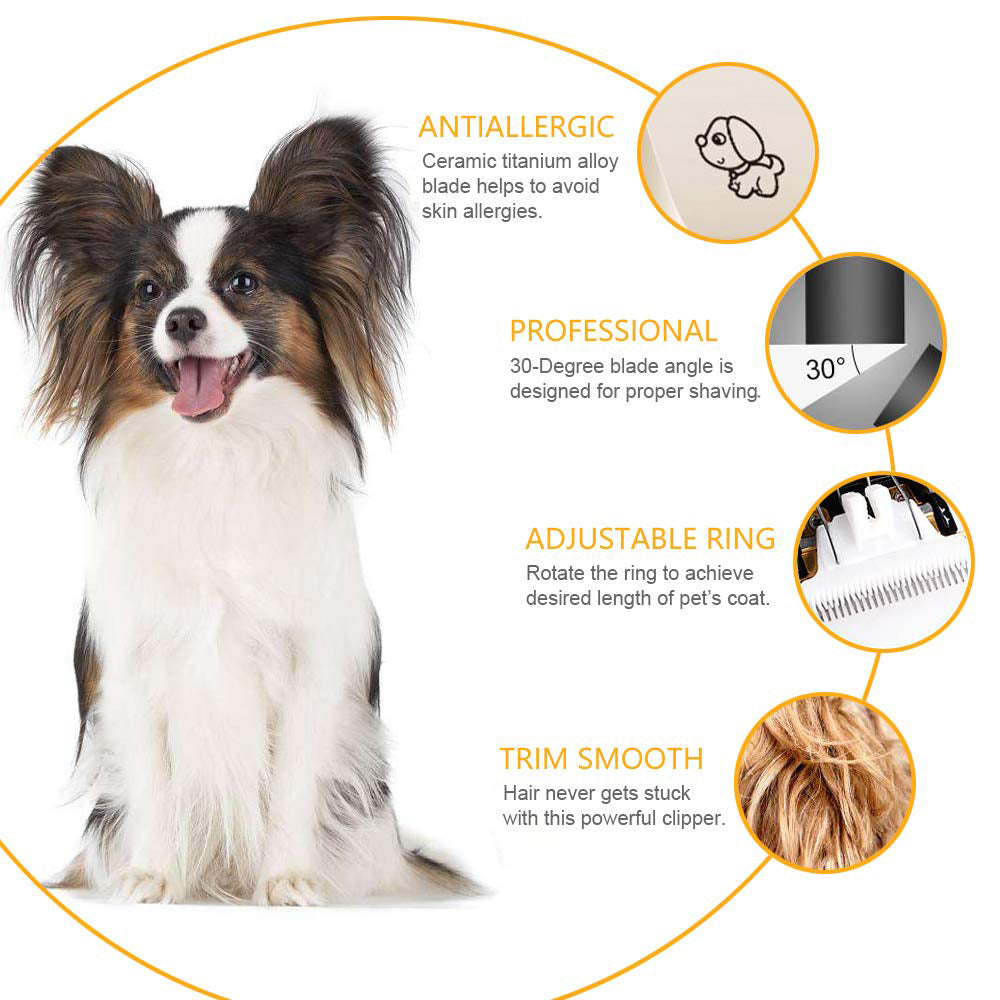 A cute long-haired dog and description of 5 features of the pet grooming clippers: Antiallergic, Professional, Adjustable Ring & Smooth Trimming.